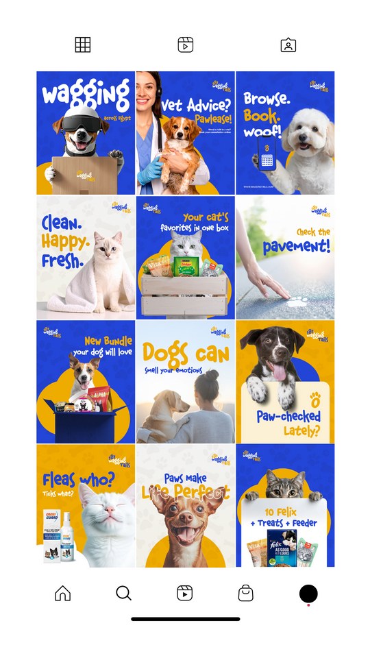 Pet care content grid